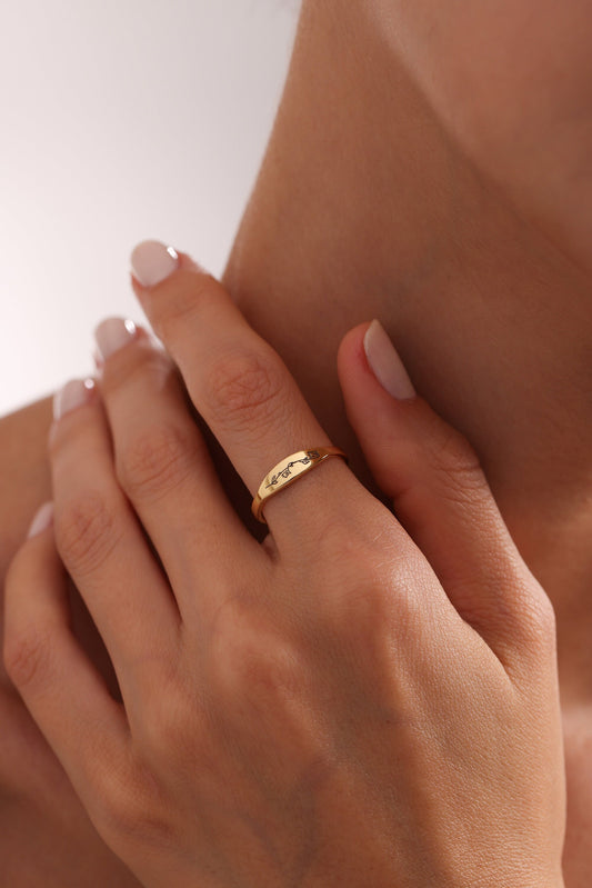 Personalized Birth Flower Ring: 14k Gold Signet, Engraved Floral Jewelry